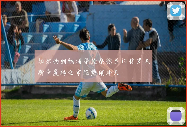 切尔西利物浦争抢桑德兰门将罗夫斯今夏转会市场热闹非凡