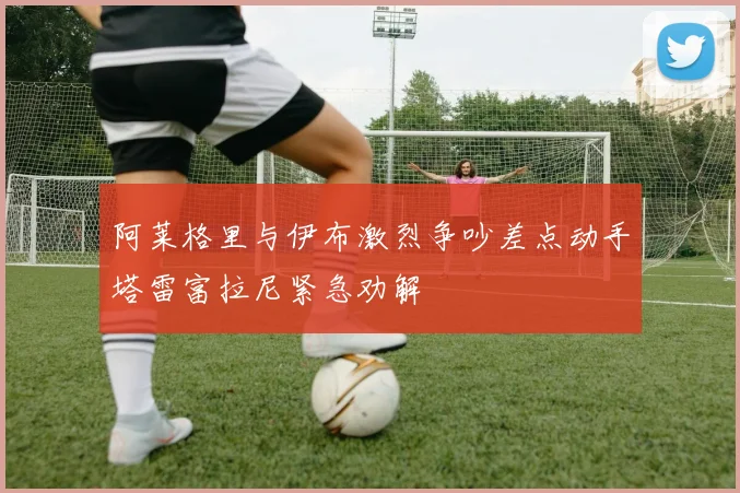 阿莱格里与伊布激烈争吵差点动手塔雷富拉尼紧急劝解